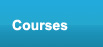 cognitive therapy programme